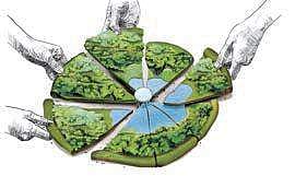 Representational image