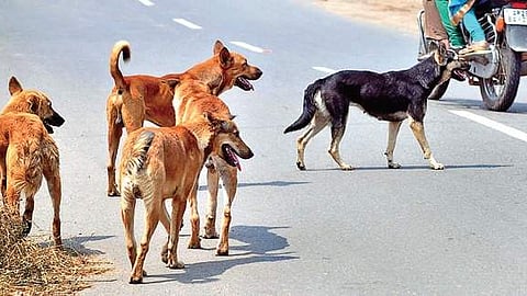 Image used for representational purpose.