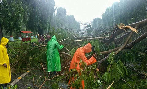 A wind uprooted trees are removed from a road after Cyclone Fani made landfall in Bhubaneswar Friday. (Photo | PTI)