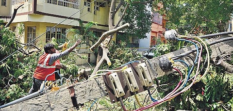 After heavy rain battered the city, many electricity poles fell, forcing authorities to decide on laying cables underground