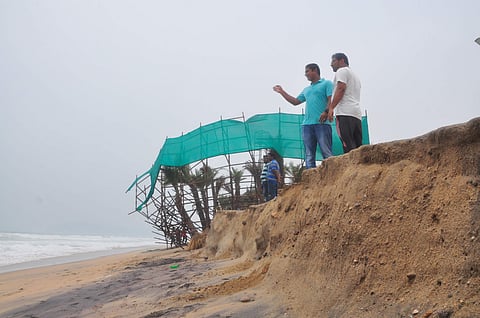 Palm trees which were planted as part of beach beautification plan suffered damage due to winds of cyclone Fani in Visakhapatnam on Friday| G Satyanarayana