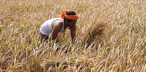 For representational purposes (Photo| EPS)