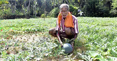 For representational purposes (File Photo | EPS)