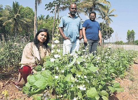 Gitanjali Rajamani, Sudaakeran Balasubramanian and Shameek Chakravarty