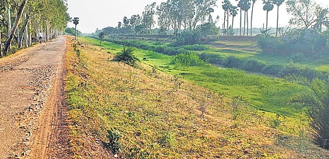Abandoned canal stretch at Jamkunda in Balasore. (Photo | EPS)