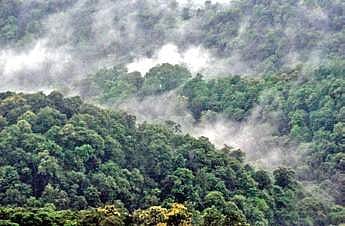 Project in Western Ghats raises greens’ hackles