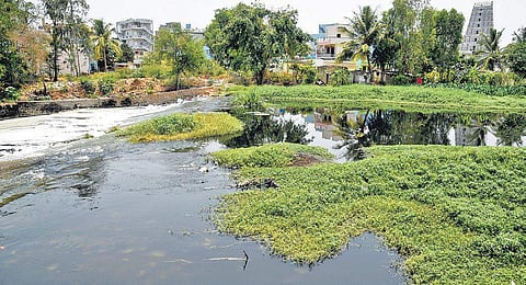 A decision on whether BBMP will take over the lakes will be made after the DyCM meets BBMP and BDA officials