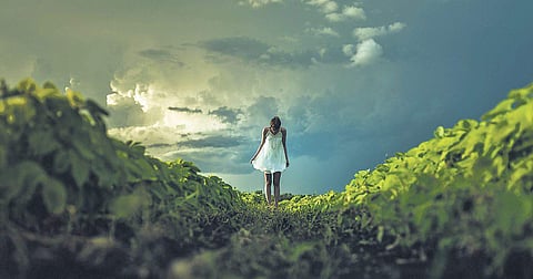 Photo by Matthew Henry on Unsplash