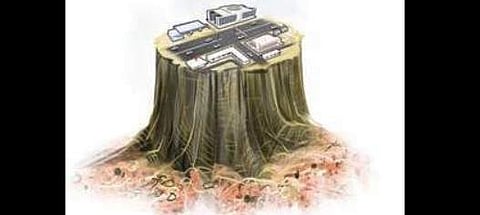 For representational purposes