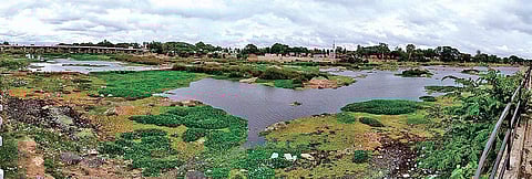 The state govt plans to supply 18 tmcft of water from Tunga (in picture) and Bhadra rivers | Shimoga Nandan