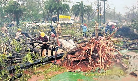 File picture of a tree uprooted during cyclone Fani near AG square in Bhubaneswar.
