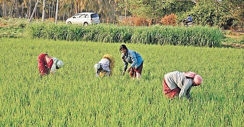 The state government plans to bring in a separate act for collective farming