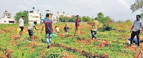 The garden will have 200 species of fruit-bearing trees planted on a 50-acre land.