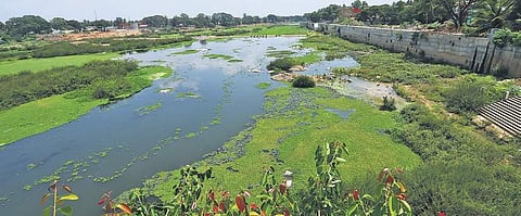 The Tunga river in Shivamogga | Shimoga Nandan