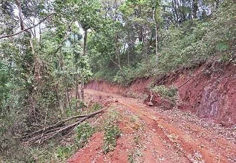 Bhadra Tiger Reserve