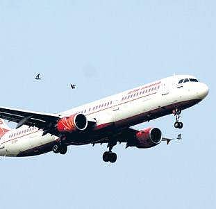 Air India may bar pilots from bringing own food on flights