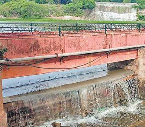 The waterfall at Lalbagh | Express