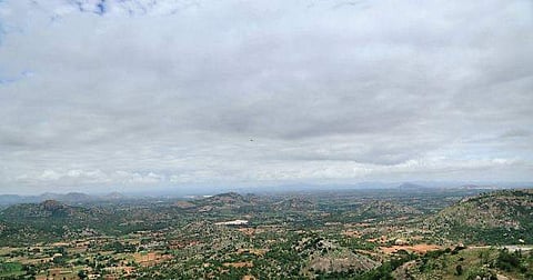 File picture of Avalabetta