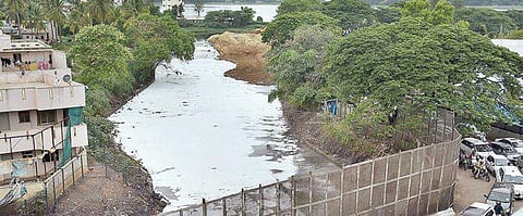 The frothing in Bellandur lake has brought it to the attention of international media, prompting authorities to decide on emptying the water body | Express