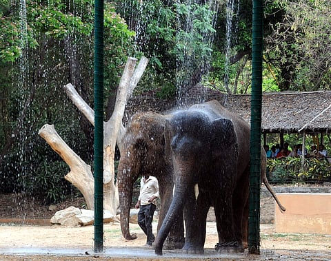 Image used for representational purpose (Photo | EPS)