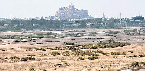 A view of the parched Cauvery river in Tiruchy | File photo