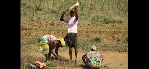 For representational purposes (File Photo | EPS)