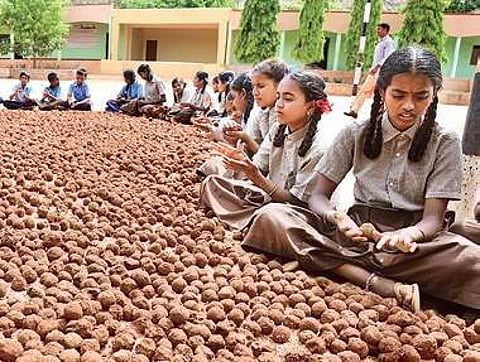 Students of a government school making seed balls at Kallinayakanahalli village in Gouribidanur taluk | Vinod Kumar T