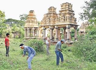 Workers cleaning Madhuvana, the royal cemetery, in Mysuru on Tuesday | Udayshankar S