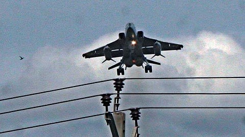 While the count of bird-hit incidents stood at 1,782 last year, it was at 1,278 in 2024.