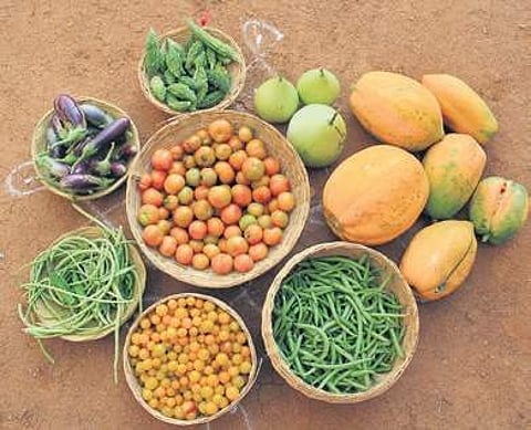 The produce at Polam, a permaculture farm in Sangareddy district