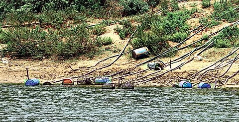 Farmers have laid pipelines to channel water from the Tunga river bed near Donikandi village | Shimoga Nandan