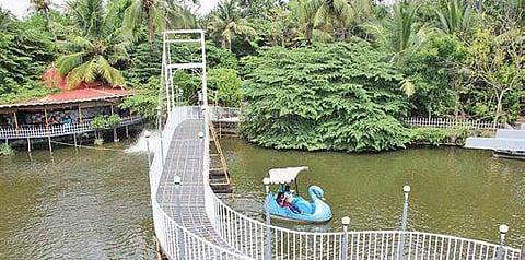 Mango Meadows Agricultural Theme Park in Kottayam | Pic: Vishnu Prathap