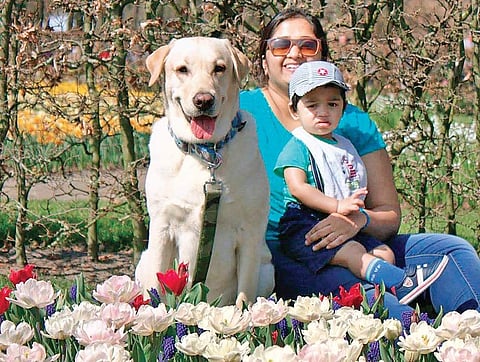 Brandy with his mom Niharika and his little brother in the Netherlands