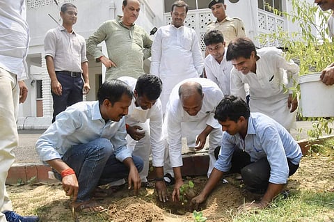 Senior JD (U) leader RCP Singh plants a sampling to mark World Environment Day on Wednesday in Patna. (Photo | EPS)