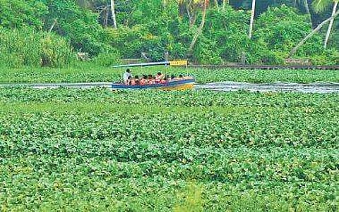 Ticket hike at Veli raises hackles of visitors