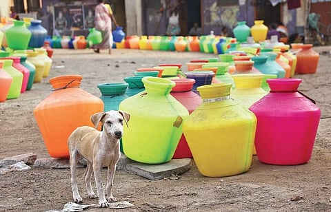 Coloured pots at Sannathi Street in Anakaputhur. (Ashwin Prasath, EPS)