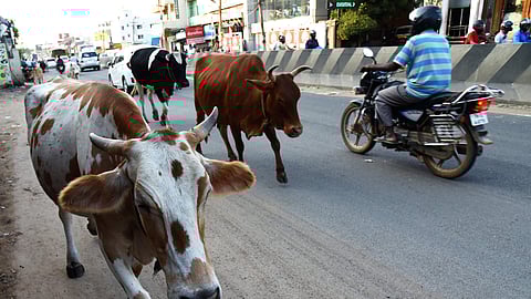 Representative Image.