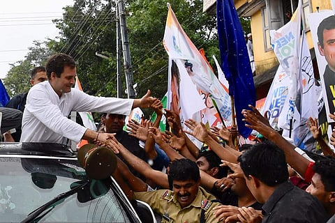 Rahul Gandhi at Wayanad. (Photo| Twitter)