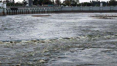 Cauvery water (Photo | EPS)