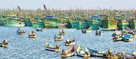 Govt to establish three new fishing harbours