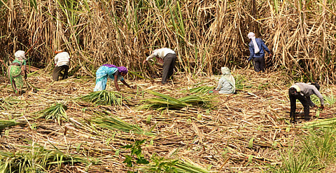 For representational purposes (Photo | PTI)