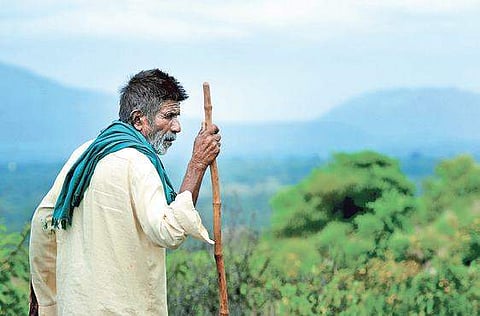 Kamegowda has built 14 ponds on the Kundinibetta hill in Mandya district. (Photo | Pandarinath B, EPS)