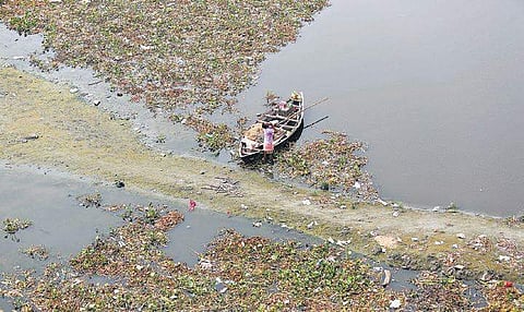 Several studies have claimed that the Yamuna has high recharge potential