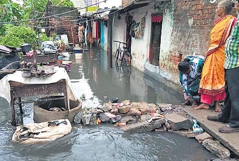 Due to diphtheria, jaundice and JE outbreak, the districts are put on alert.