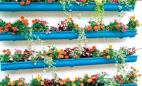 Get down to the gutter