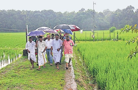 Agriculture Minister V S Sunil Kumar on his way to inaugurate the centenary celebrations of State Seed Farm at Aluva. Aluva MLA Anwar Sadath is also seen | Arun Angela