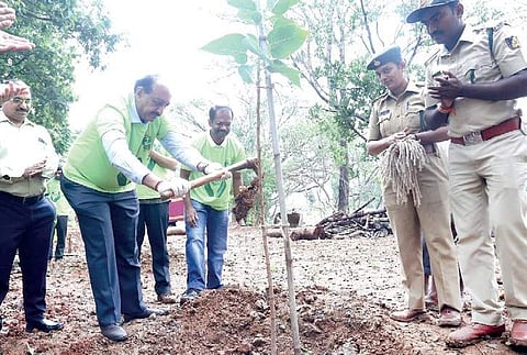 Officials of Income Tax and Forest departments take part in a plantation drive