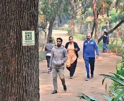 Earlier this year, CM Kejriwal had written a personal letter to the elderly | File