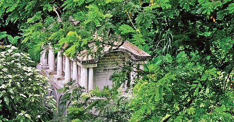 The long-ignored Jew cemetery on Market Road near Marine Drive has turned into a shelter for snakes and crawlies. Despite the abundant tourism potential, the officials haven’t taken any action to revive the area | A Sanesh