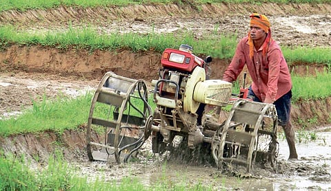 A farmer ploughing his agriculture field using a power tiller at Jhinkaraguda village in Koraput district | PARESH RATH